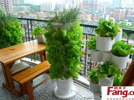 阳台菜园如何设计最实用
