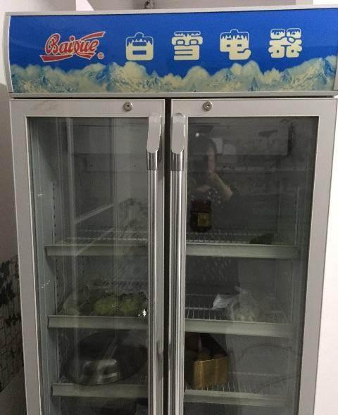 白雪冰柜价格和性能的介绍