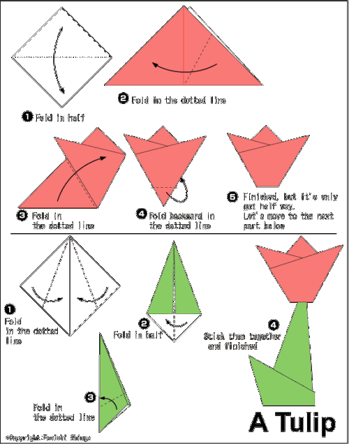 郁金香折纸过程图片