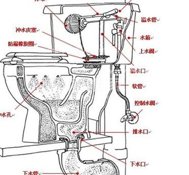 虹吸式马桶排水原理图图片